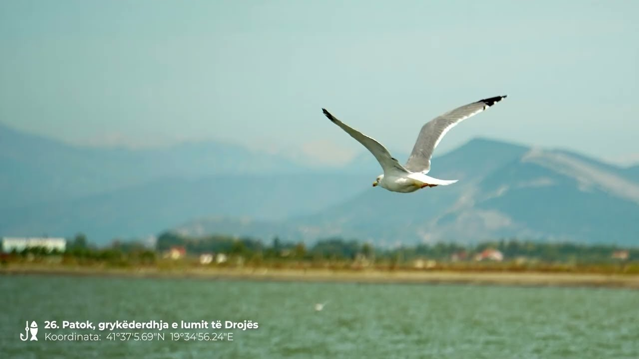 Patok, the estuary of the river Droje